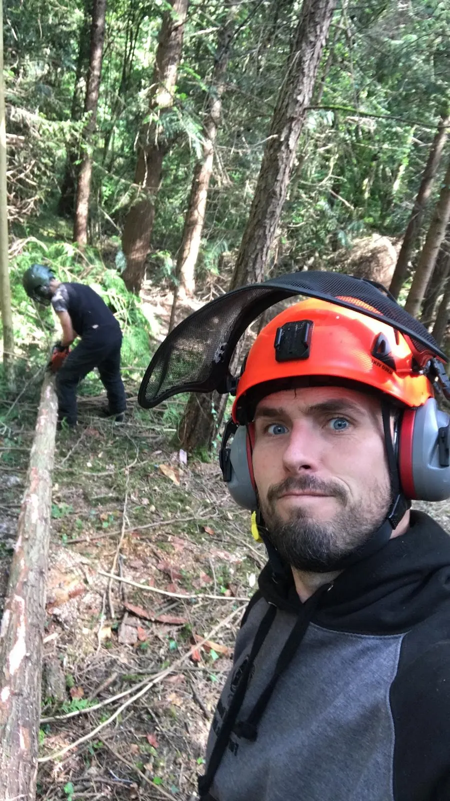 Tree Surgery