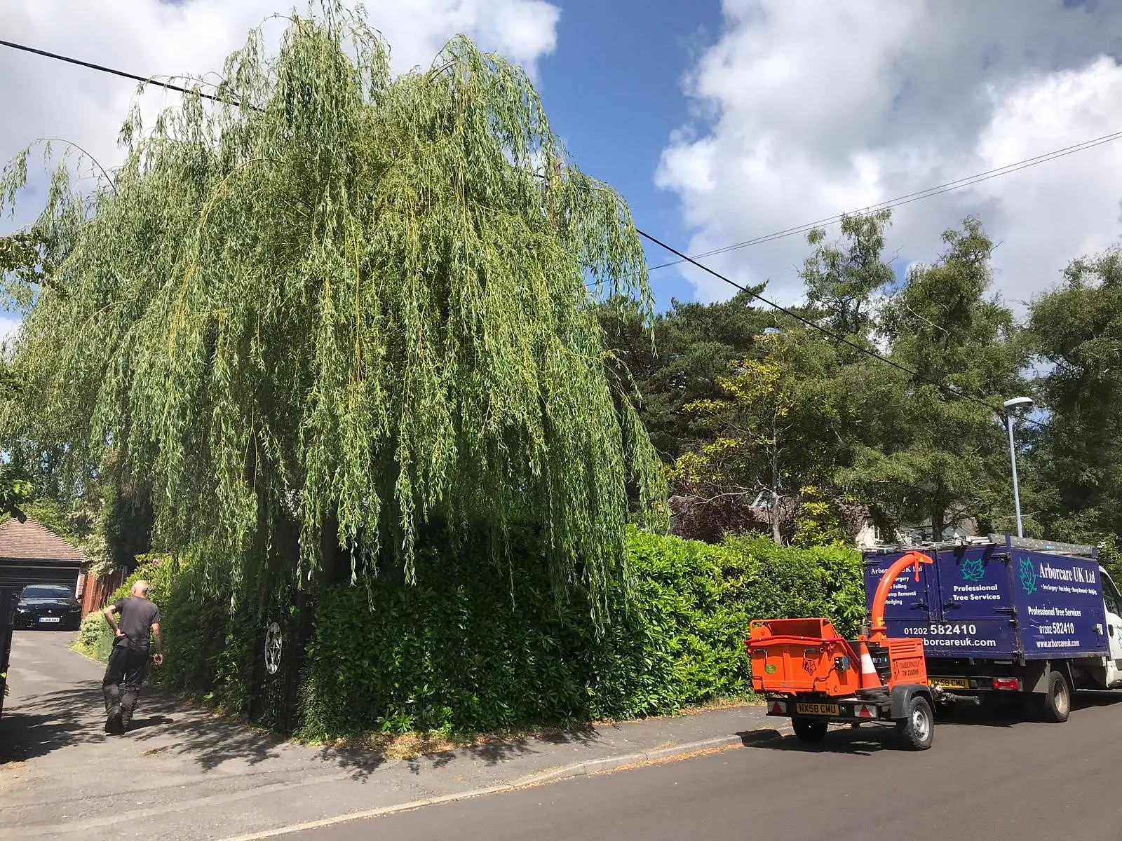 Tree Surgery