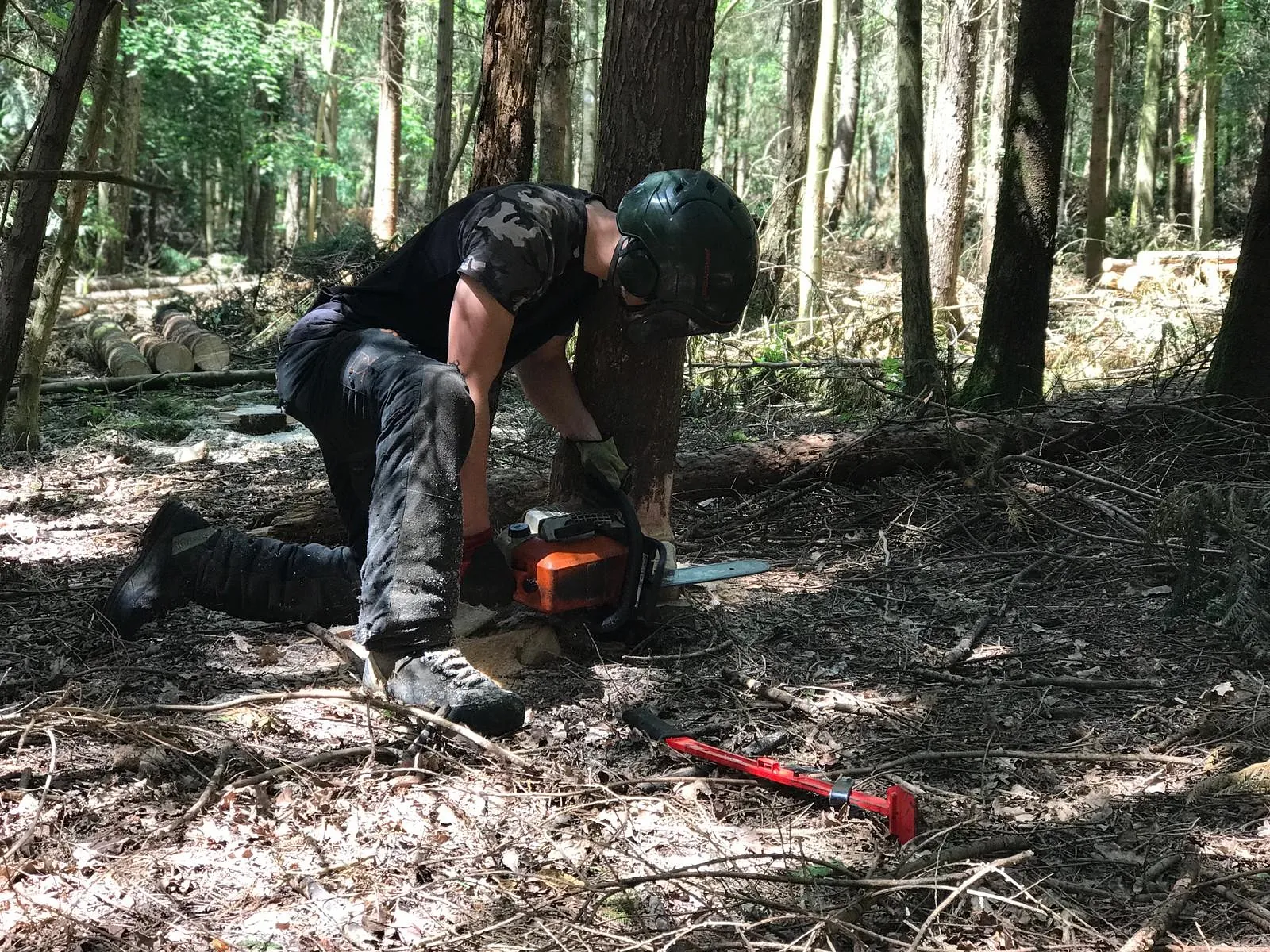 Tree Surgery