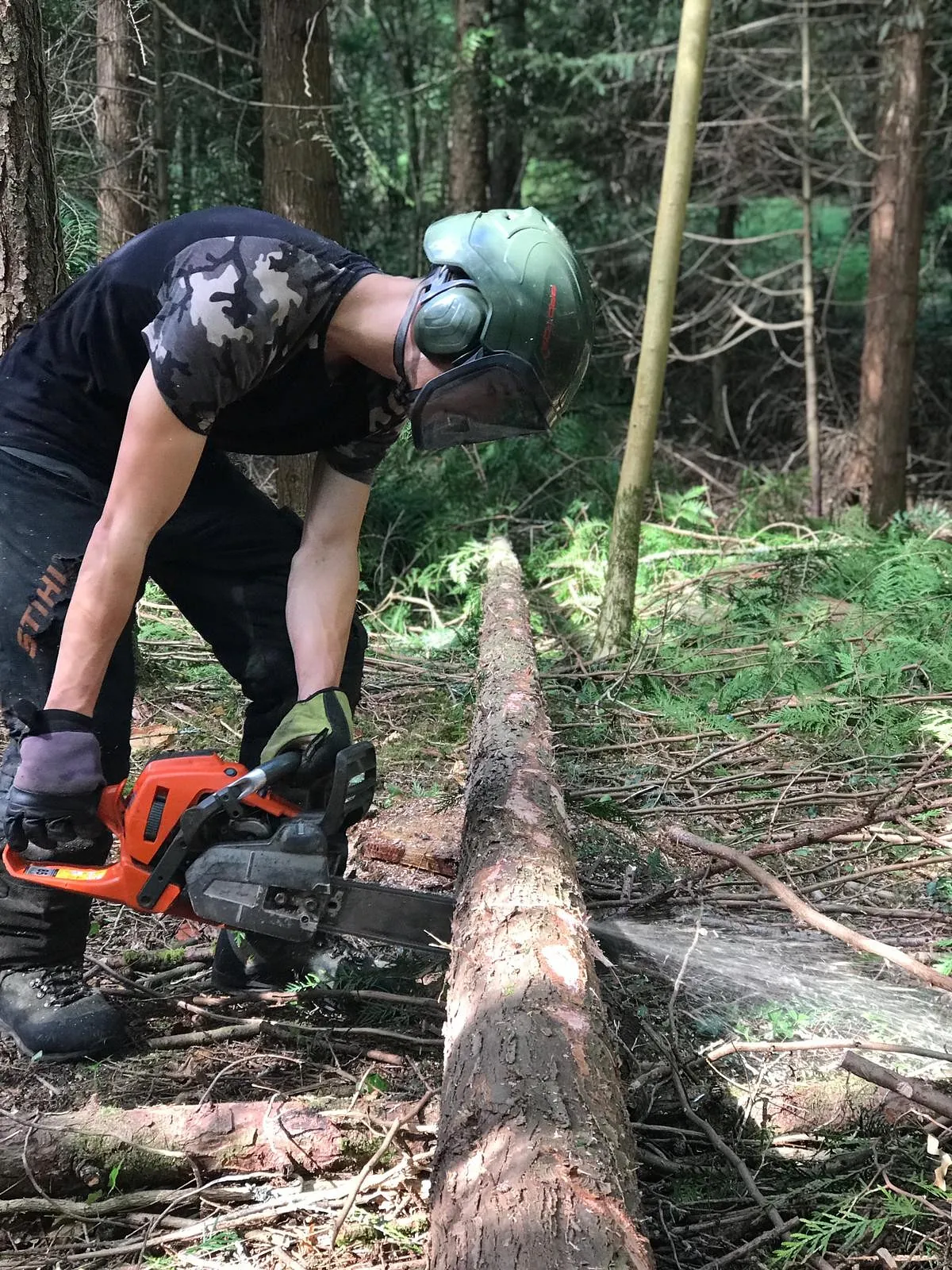 Tree Surgery