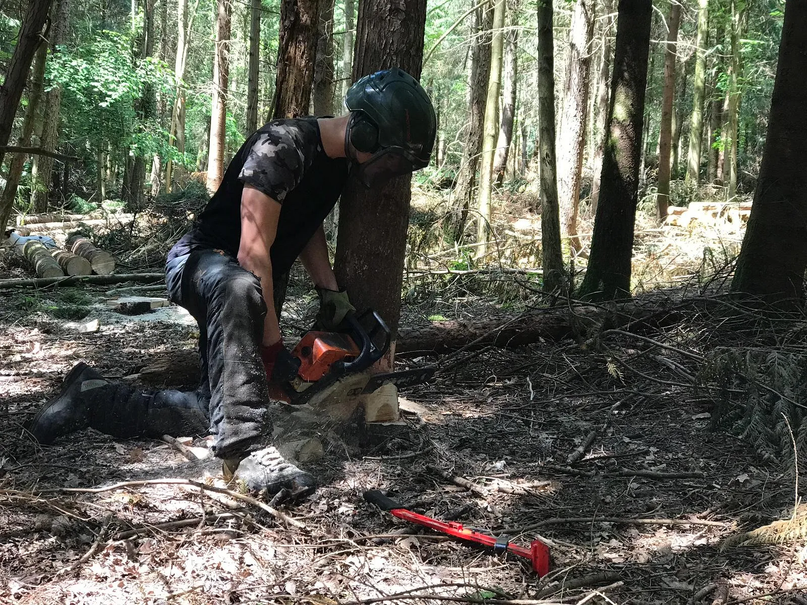 Tree Surgery