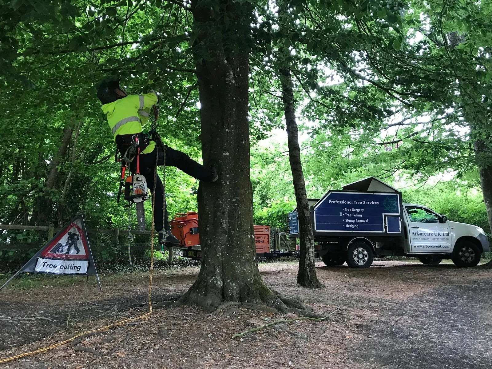 Tree Surgery