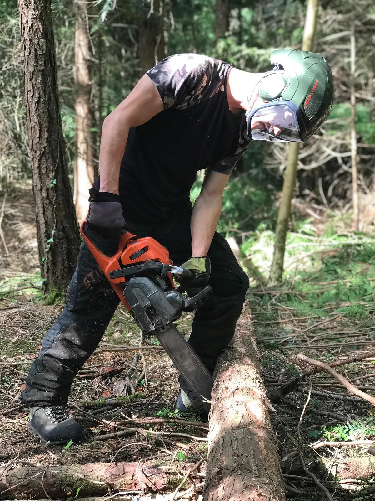 Tree Surgery