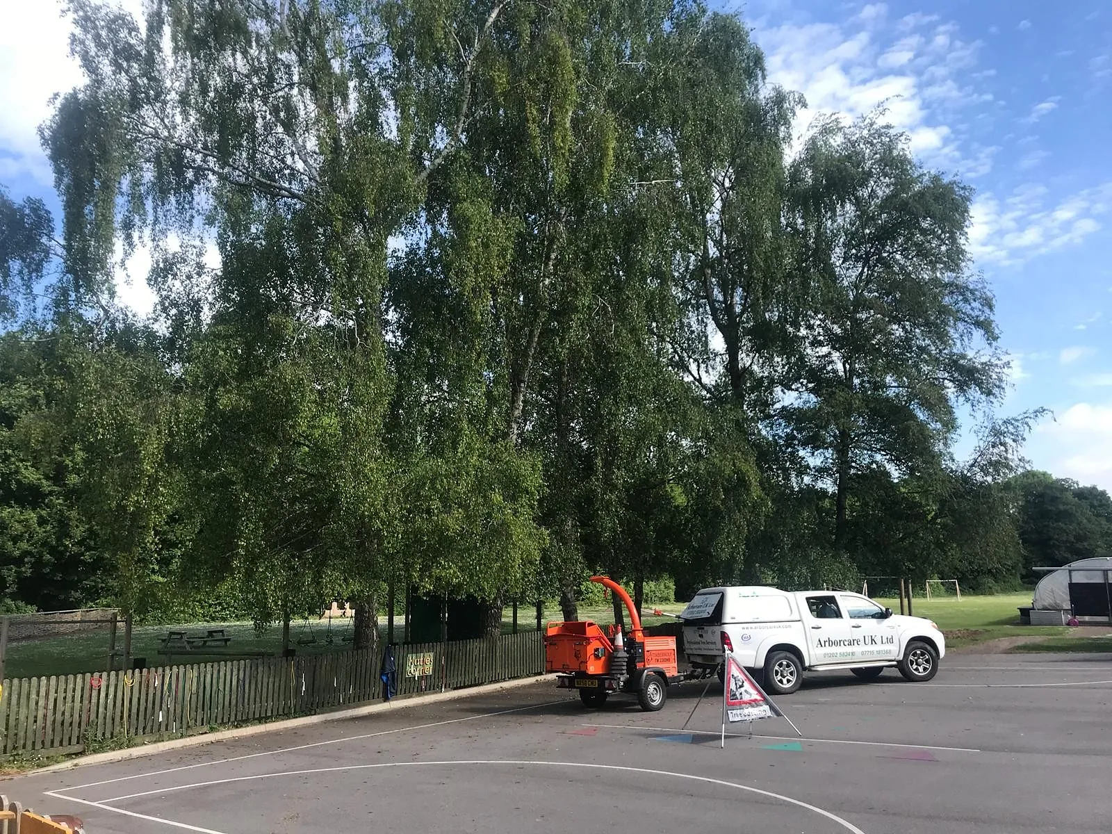 Tree Surgery