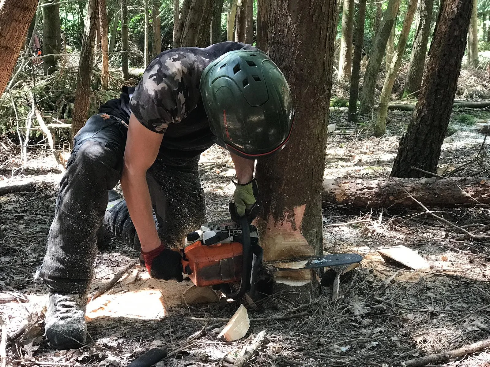 Tree Surgery