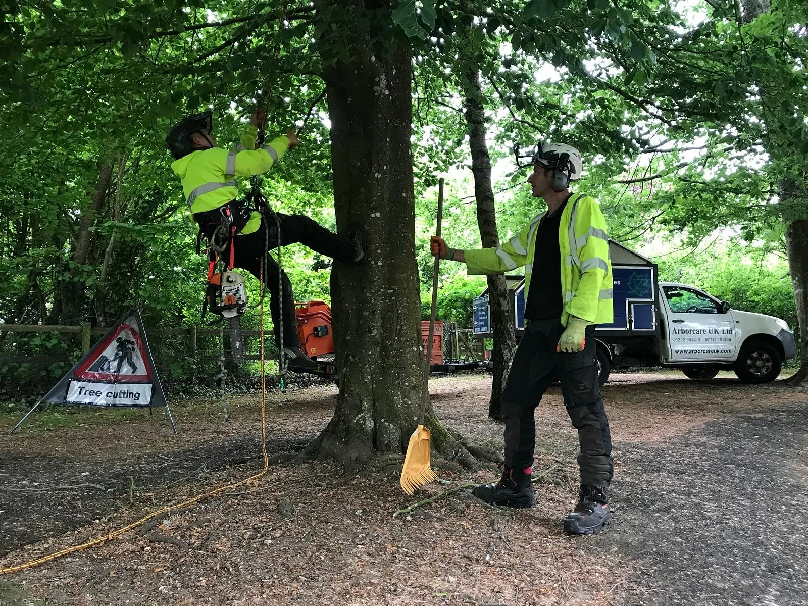 Tree Surgery