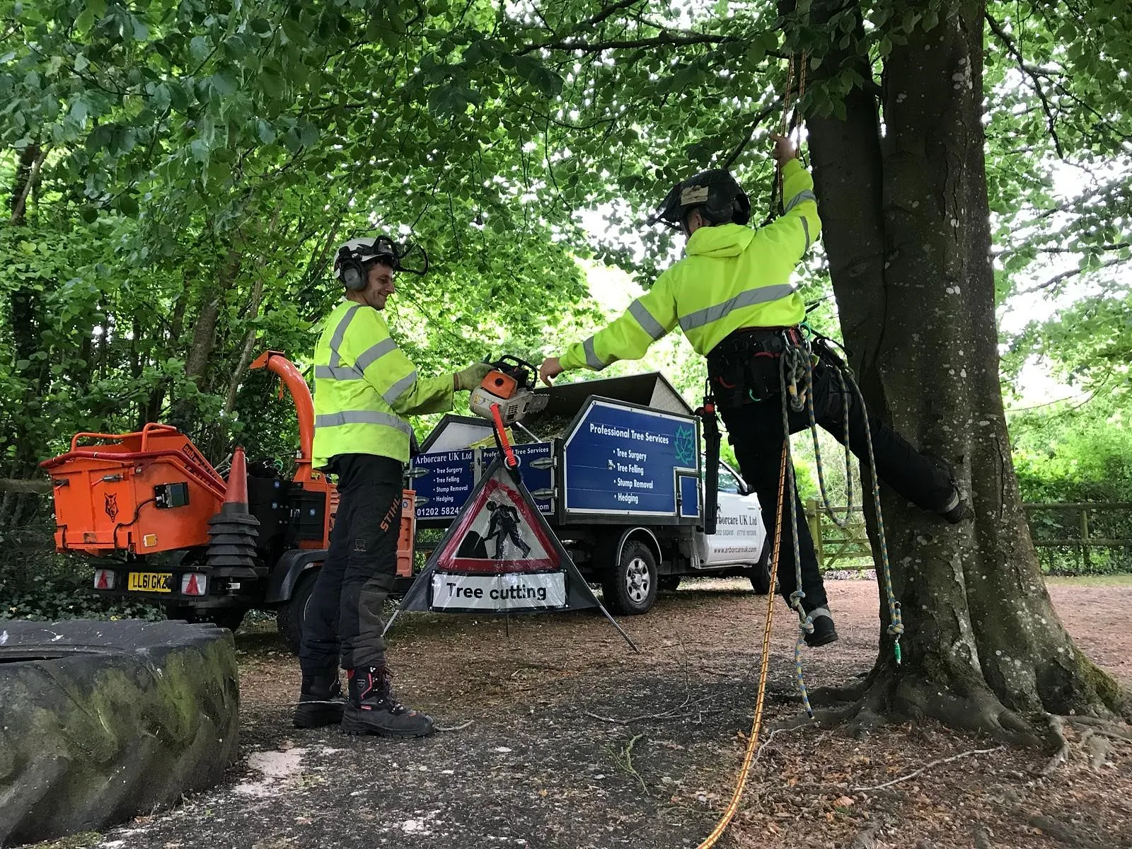 Tree Surgery